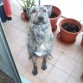 que habrás hecho, esa carita no me gusta.....!!!!